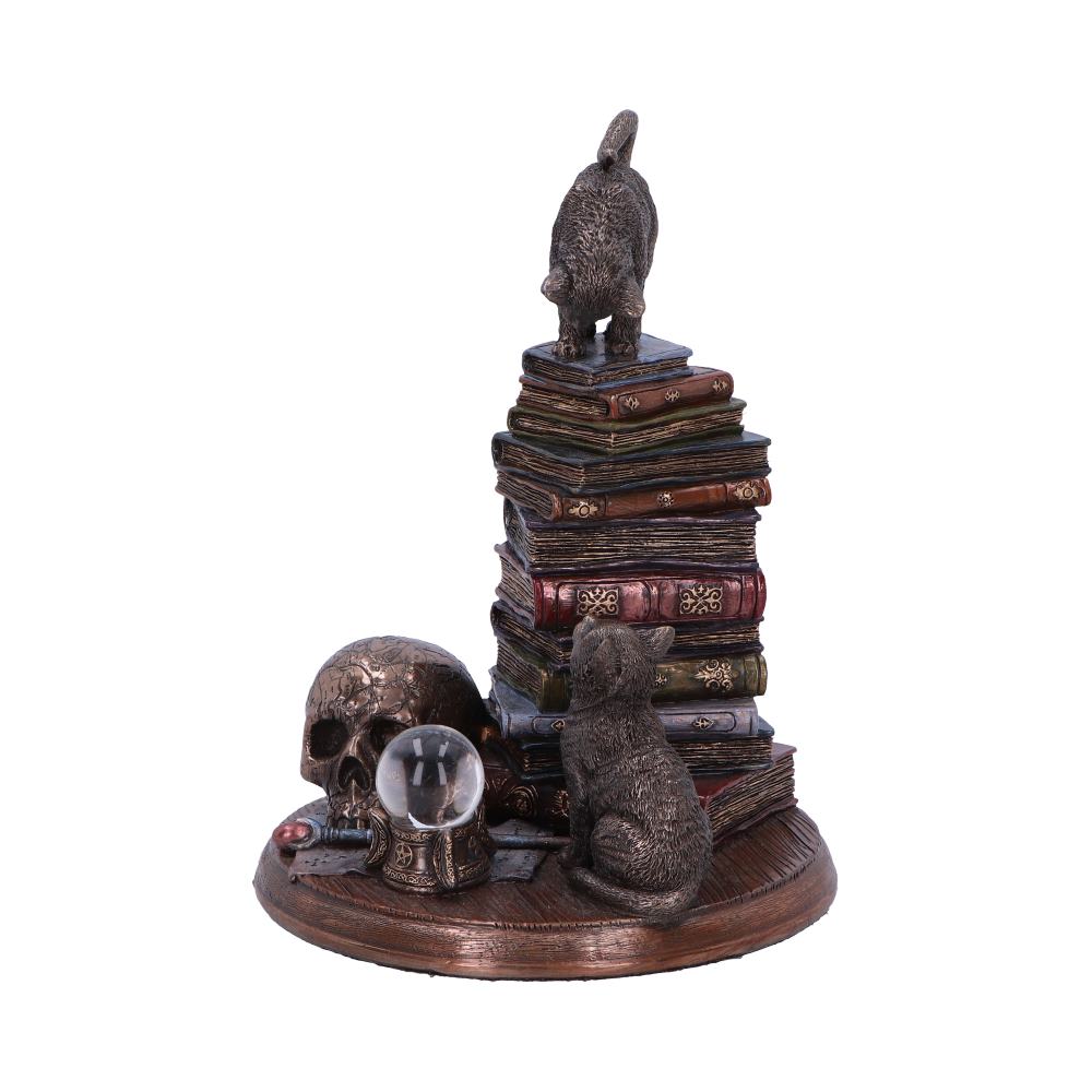 Feline Scholars - Image 5