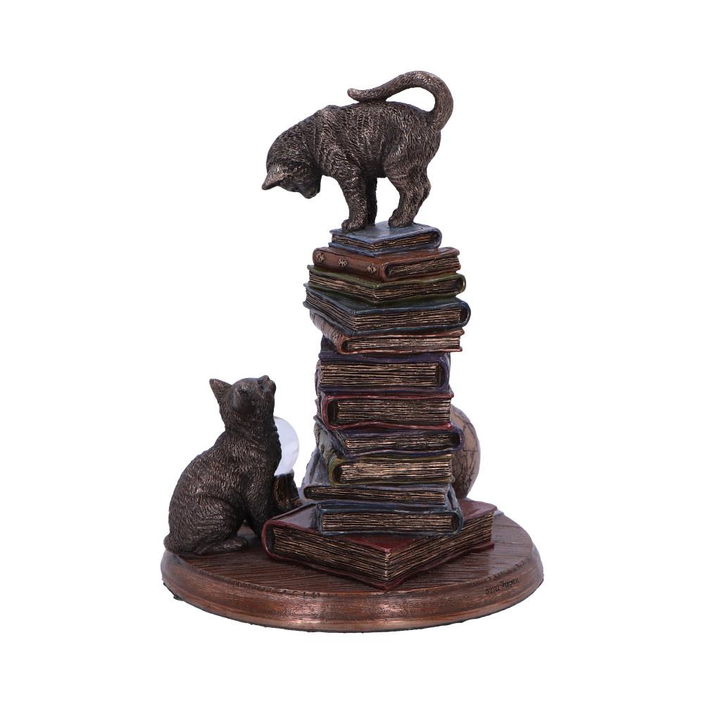 Feline Scholars - Image 6
