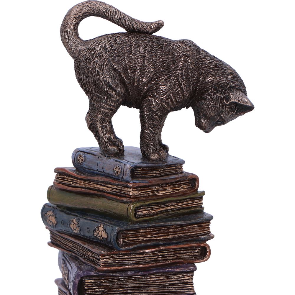 Feline Scholars - Image 4