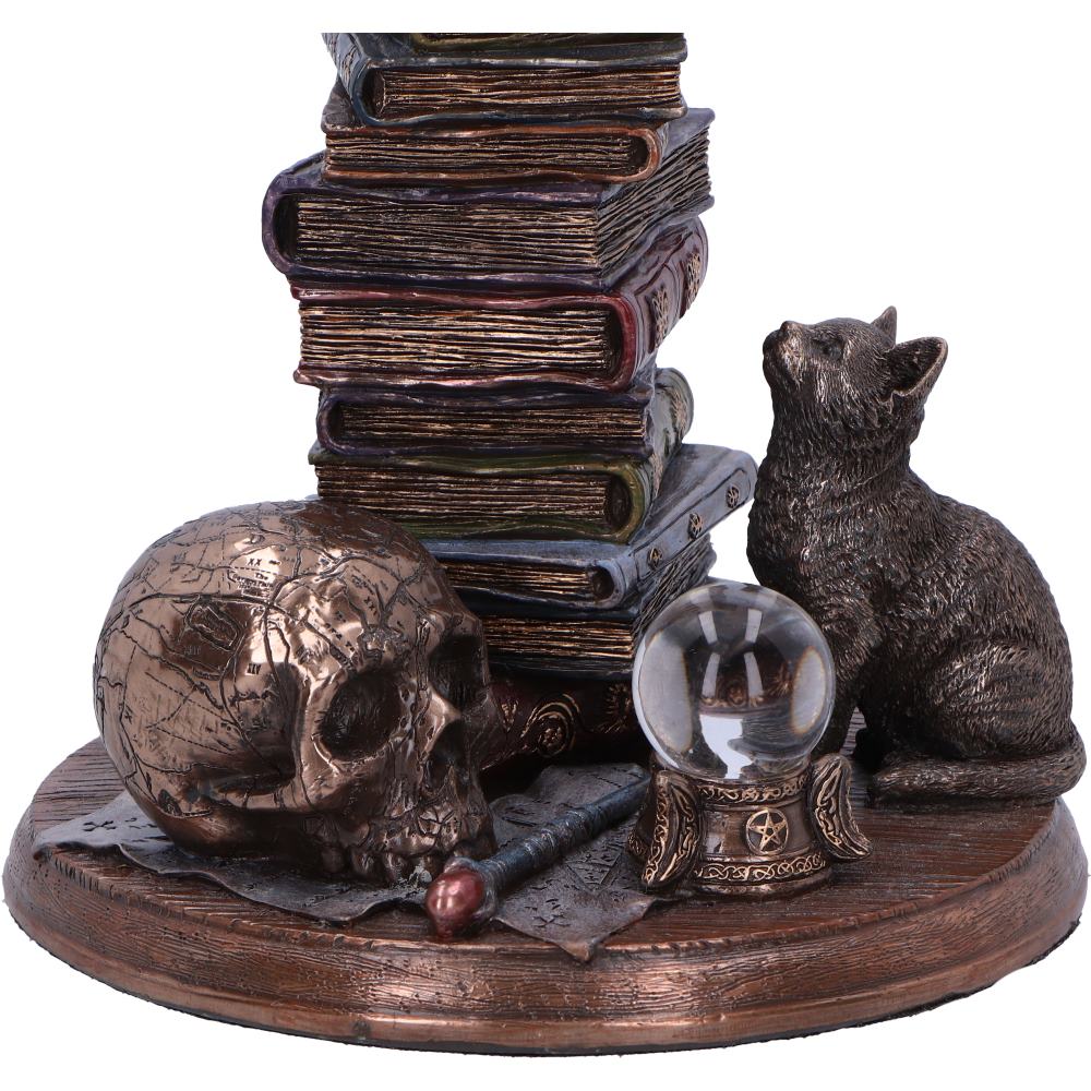Feline Scholars - Image 3
