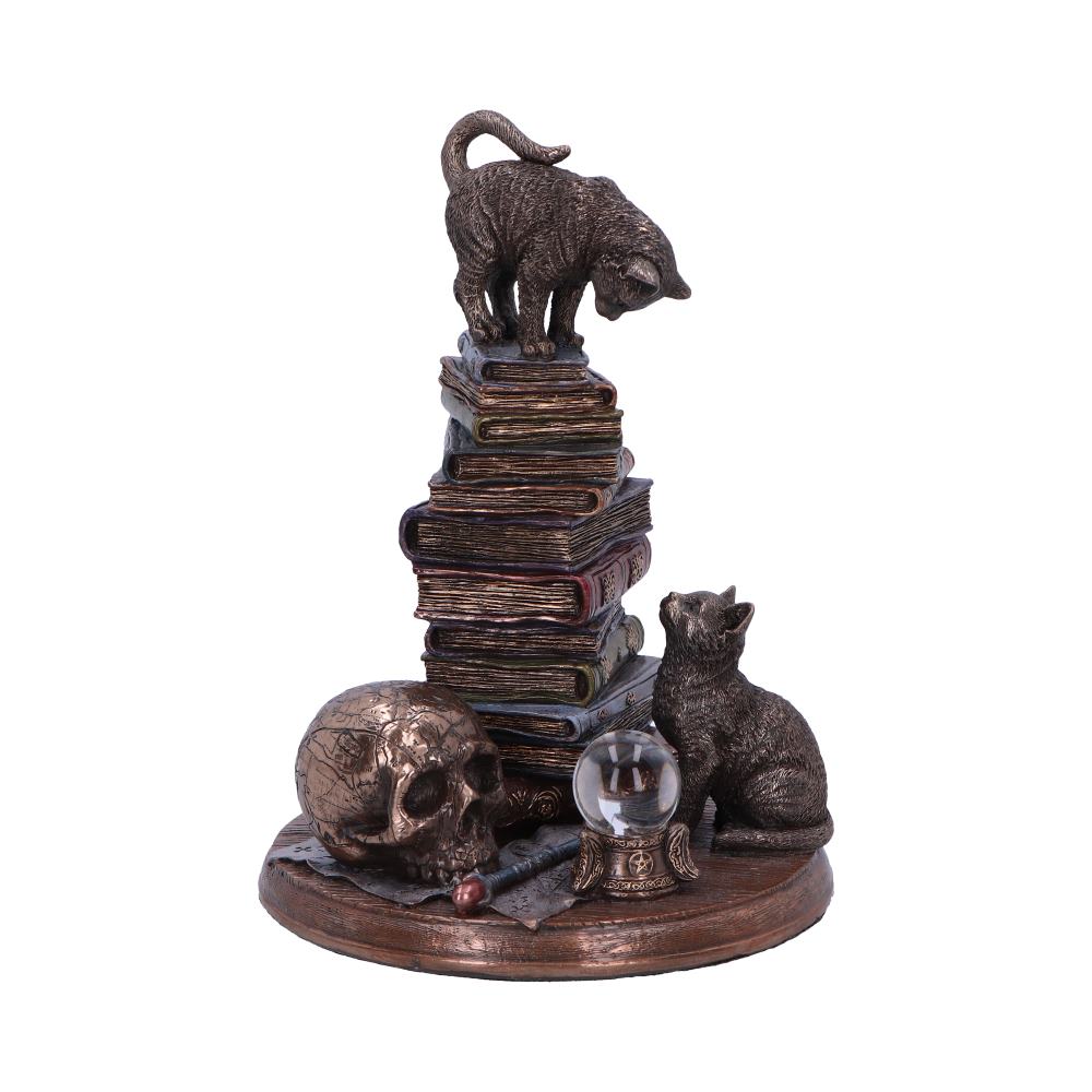 Feline Scholars - Image 2